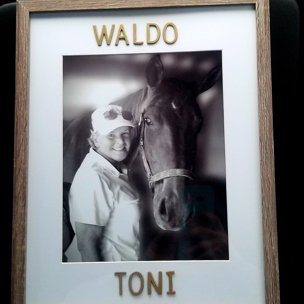 Meet your Posher, Toni